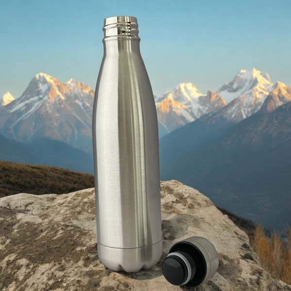 Stainless steel drinks bottle with snow capped mountains in the bckground